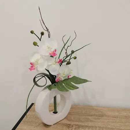 Andorinhas ゲストハウス 3*