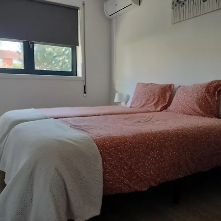 Andorinhas Senhora da Hora