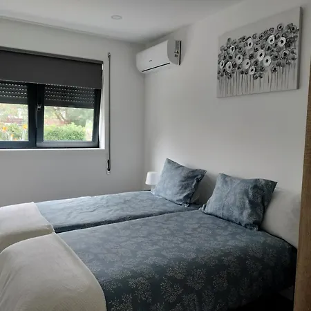 Andorinhas Senhora da Hora