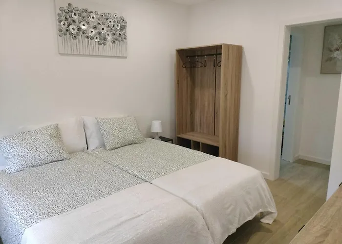 Andorinhas Senhora da Hora