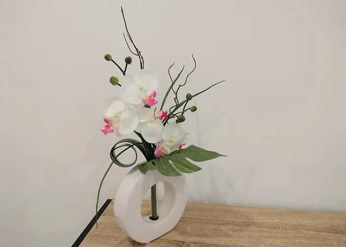 Andorinhas Penzion 3*