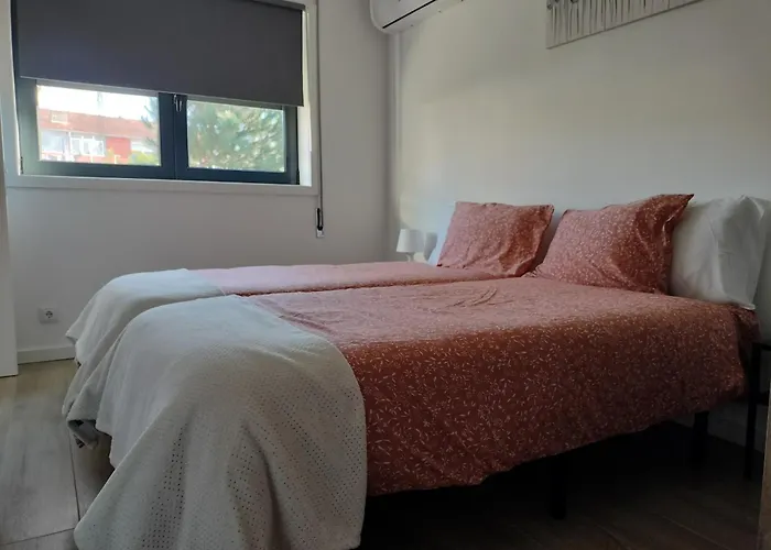 Andorinhas Senhora da Hora