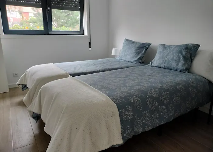 Andorinhas Senhora da Hora