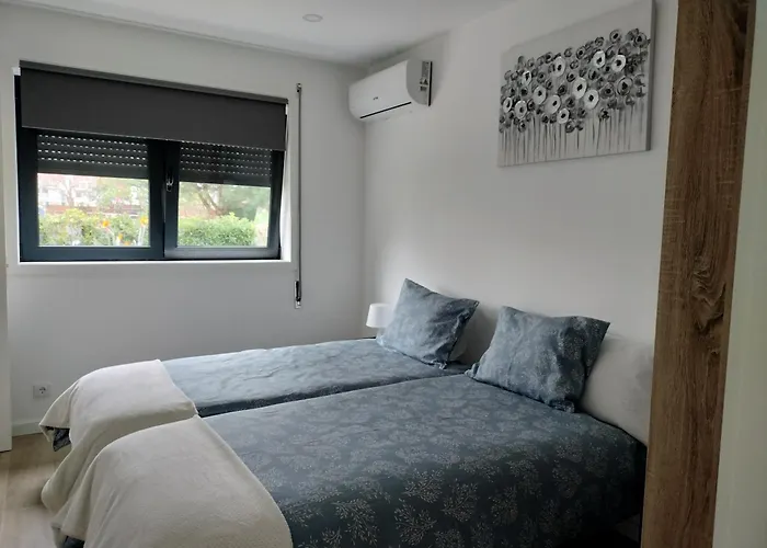 Andorinhas Senhora da Hora