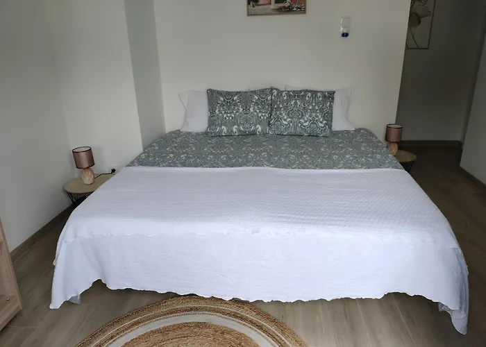 Casa de hóspedes Andorinhas Senhora da Hora